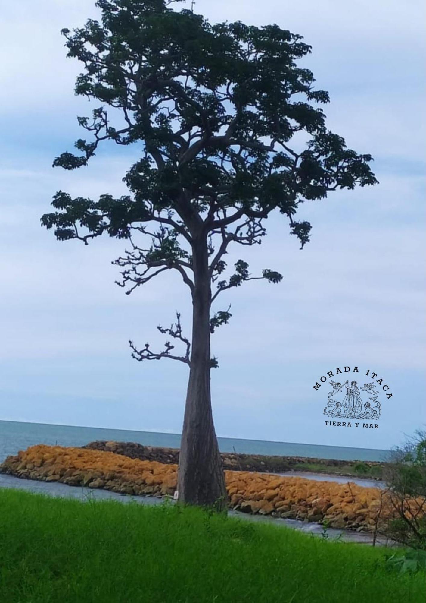 Morada Itaca - Arboletes 아파트 외부 사진